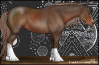 Horse Color:Liver Chestnut Sabino Tobiano 