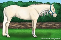 Horse Color:Buckskin Roan Pearl  and Silver Buckskin Roan Pearl 