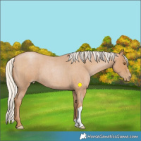 Horse Color:Silver Blue Roan Pearl 