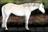 Horse Color:Cremello Splash  and Cremello Splash 