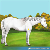 Horse Color:Gray Silver Black Pearl Tobiano 