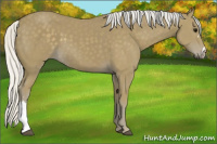 Horse Color:Silver Smoky Black 