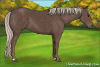 Horse Color:Silver Black 