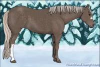 Horse Color:Silver Black 