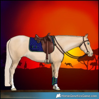 Horse Color:Palomino Pearl Sabino