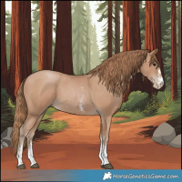 Horse Color:Black Pearl Sabino 