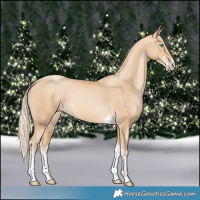 Horse Color:Palomino Pearl Sabino Tobiano 