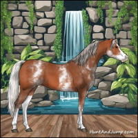 Horse Color:White Spotted Silver Bay Splash 
