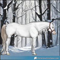 Horse Color:Midnight Liver Chestnut Ice Pearl Sabino 