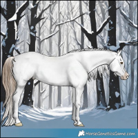 Horse Color:Midnight Liver Chestnut Ice Pearl Sabino 