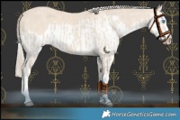 Horse Color:Smoky Creme Splash  and Silver Smoky Creme Splash 