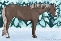 Horse Color:Silver Black 