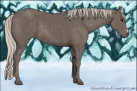 Horse Color:Silver Black 