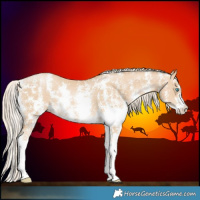Horse Color:Palomino Pearl Sabino 