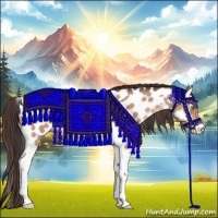 Horse Color:Sable Champagne Tobiano Leopard