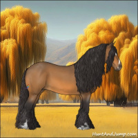 Horse Color:Buckskin Roan Sabino 