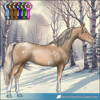 Horse Color:White Spotted Chocolate Palomino Pearl Mushroom
