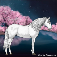 Horse Color:Gray White Spotted Buckskin Dun 