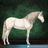 Horse Color:Buckskin Pearl Sabino 