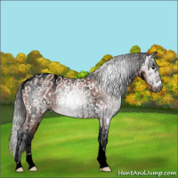 Horse Color:Gray Bay Splash Blanket  and Gray Bay Tobiano Near Leopard 