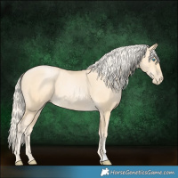 Horse Color:Palomino Pearl Sabino
