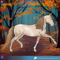 Horse Color:Buckskin Pearl Sabino 