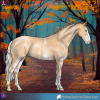 Horse Color:White Spotted Silver Sable Cream Champagne