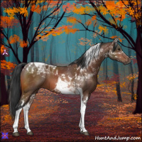 Horse Color:Bay Tobiano 