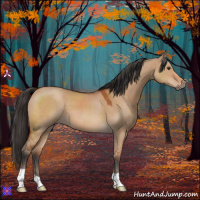 Horse Color:Brown Dun 