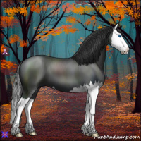 Horse Color:Black Sabino Splash