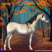 Horse Color:Liver Red Dun Onyx 