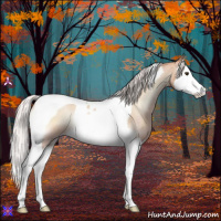 Horse Color:Silver Amber Champagne Roan Onyx Splash Tobiano Rabicano 