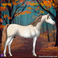 Horse Color:White Spotted Gold Champagne Dun Sabino 