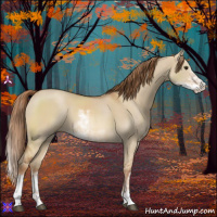Horse Color:Red Dun Sabino 