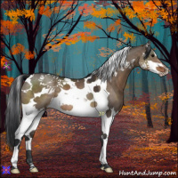 Horse Color:Brown Dun Splash Tobiano