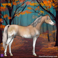 Horse Color:White Spotted Silver Classic Champagne 