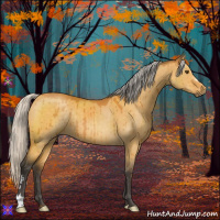 Horse Color:Silver Buckskin Dun Brindle 