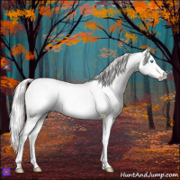 Horse Color:Cremello Dun Splash Frame 