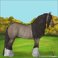 Horse Color:Smoky Grullo Rabicano
