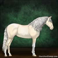 Horse Color:Palomino Pearl Sabino Tobiano