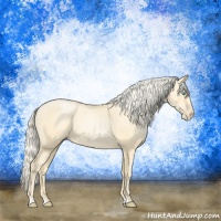 Horse Color:Palomino Pearl Sabino 