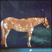 Horse Color:Watercolor White Spotted Chestnut Ice