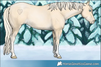 Horse Color:Palomino Pearl Sabino 