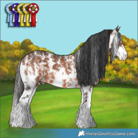 Horse Color:Bay Sabino 