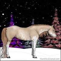Horse Color:Smoky Black Pearl Sabino