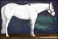Horse Color:Silver Brown Ice Sabino 