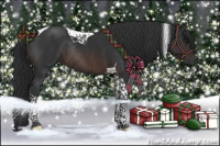 Horse Color:Brown Tobiano Rabicano