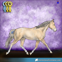 Horse Color:Palomino Pearl Sabino 