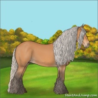 Horse Color:Silver Bay