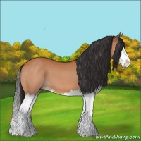 Horse Color:Bay Roan Splash 
